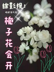 综影视：赠花手留香